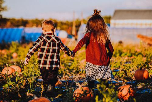 Family PhotographyPauline Gaudet